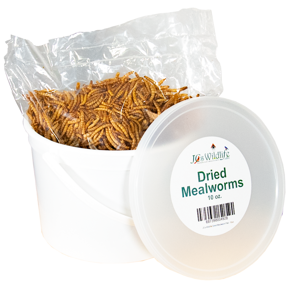 JCs Wildlife Dried Mealworm Pail - 10oz (6 Count)