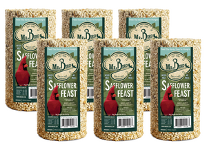 Mr. Bird Safflower Feast Small Wild Bird Seed Cylinder 32 oz. (1, 2, 4, 6, or 12 Packs)