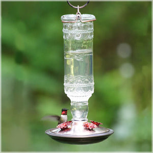 Perky-Pet 8107 Antique Bottle Glass HummingBird Feeder - Clear 10 oz.