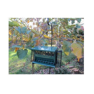 Mini Seeds N More Hopper Feeder by Heritage Farms with 2 suet cages