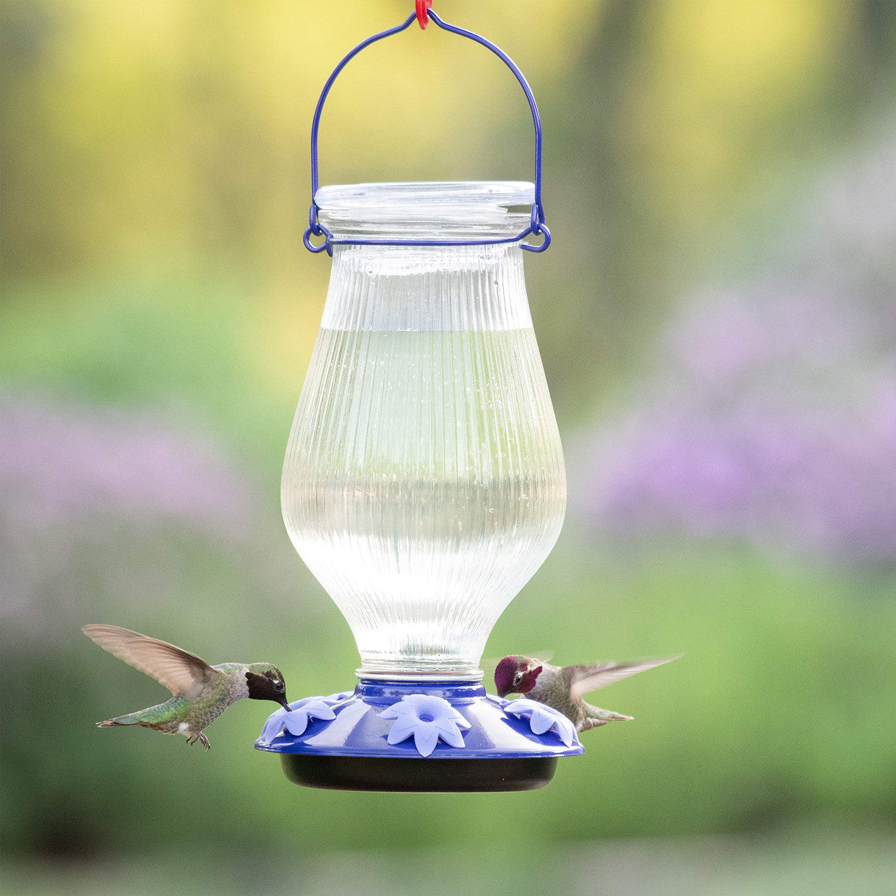 Perky-Pet Grand Oasis Top-Fill Glass Hummingbird Feeder 38 oz