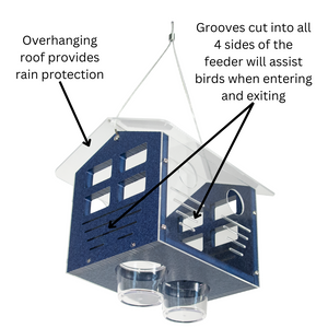 JCS Wildlife Enclosed Bluebird Feeder 2.0