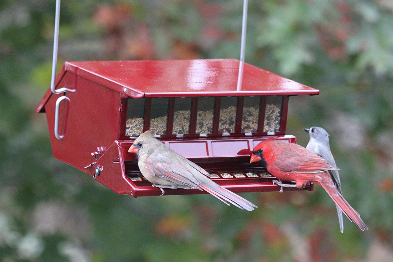 Audubon Bird's Choice bird Feeder Squirrel Proof Red Woodlink Delight 7512