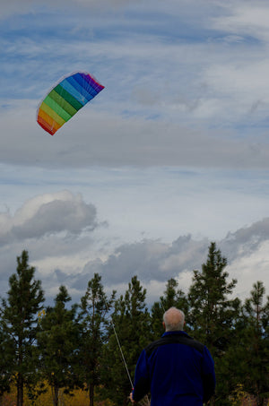 In The Breeze 62" Sport Air Foil Frameless Sport Kite