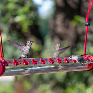 Perky-Pet Hummerbar 22 Ports Revolutionary New Hummingbird Feeding System