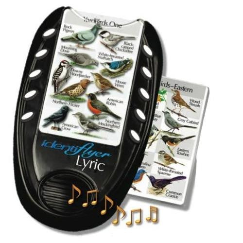 Identiflyer Lyric, GCIF05, Learn Bird Songs Quickly!