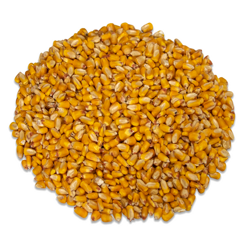 JCs Wildlife Critter Corn - Shelled Feed Corn 40 lbs - Grown in Southern Indiana