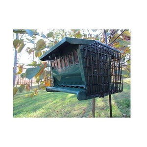 Mini Seeds N More Hopper Feeder by Heritage Farms with 2 suet cages