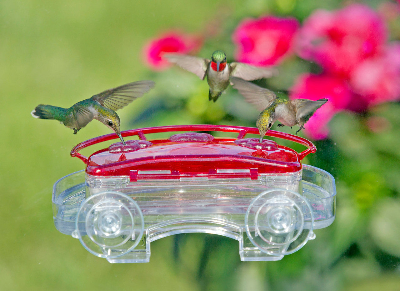 Aspects 407 Jewel Box Window Hummingbird Feeder, 8-Ounce