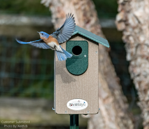 JCS Wildlife Ultimate Bluebird House - Mounting Pole Bundles Available!