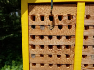 JCS Wildlife Small Poly Lumber and Pine Mason Bee House - Made in the USA
