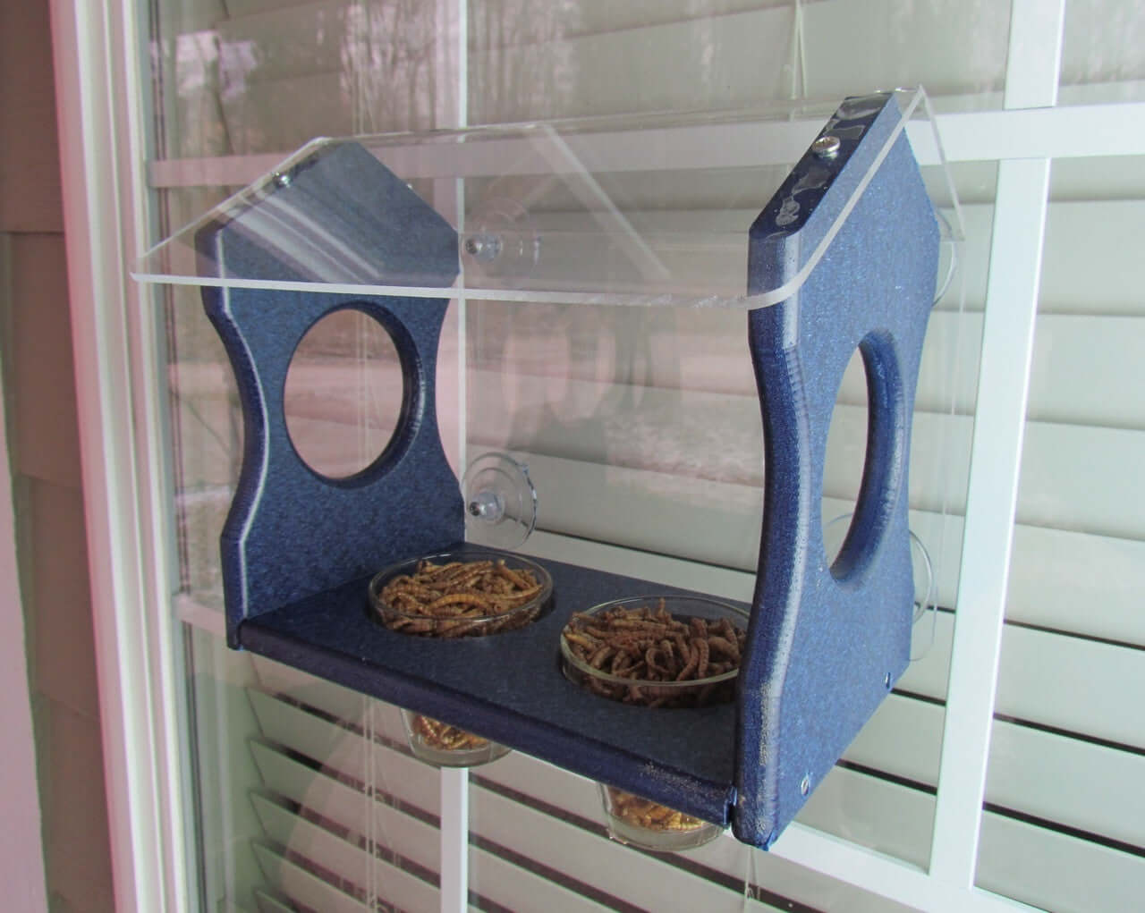 Window Mount Bluebird Mealworm Feeder