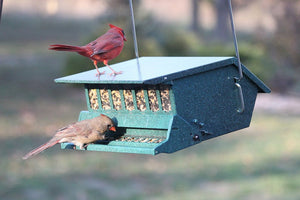 Audubon Original Bird's Choice Squirrel-Resistant Feeder Green Woodlink Delight 7511