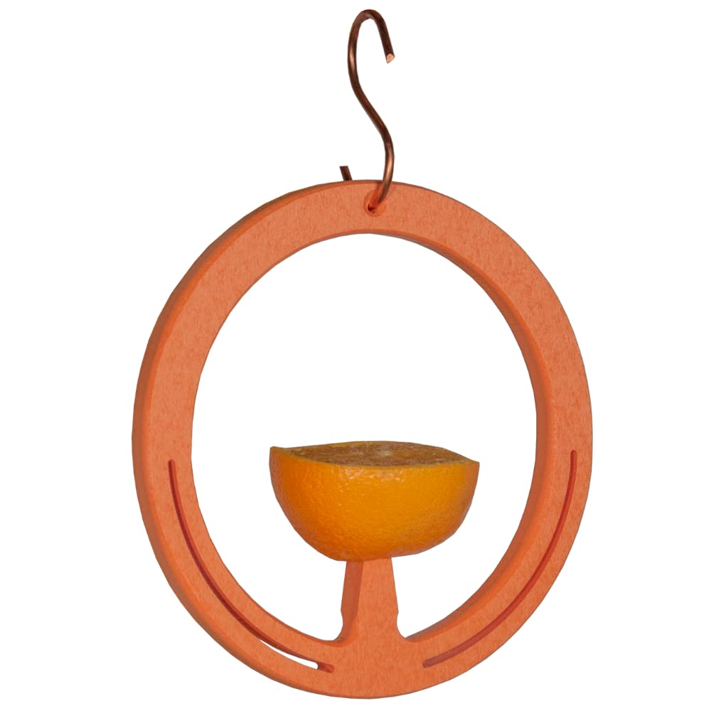 Spike Oriole Orange Fruit Feeder