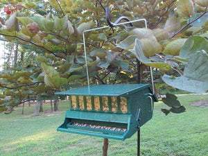 (#WL-1005)  Audubon Bird Squirrel Proof Feeder - Green