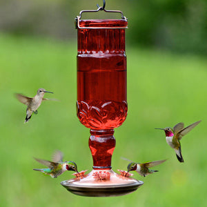 Perky-Pet 8119 Red Antique Glass Bottle Hummingbird Feeder 24 oz (1 or 2 Pack)