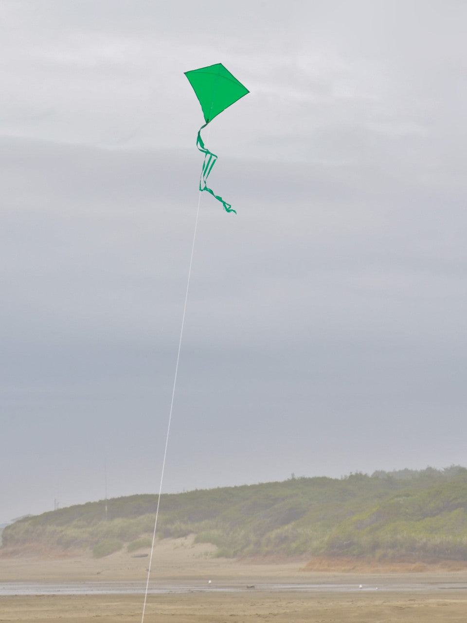 In the Breeze Green Colorfly 30" Diamond Kite