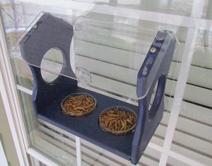 JCS Wildlife Recycled Poly Bluebird Window Mealworms Feeder Diner