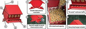 Absolute II Mini Squirrel Proof Bird Feeders Red Heritage Farms 7458