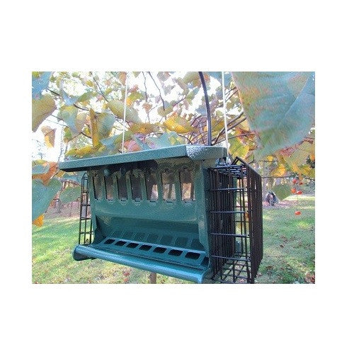 Mini Seeds N More Hopper Feeder by Heritage Farms with 2 suet cages