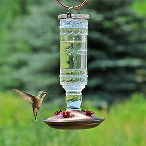 Perky-Pet 8107 Antique Bottle Glass HummingBird Feeder - Clear 10 oz.