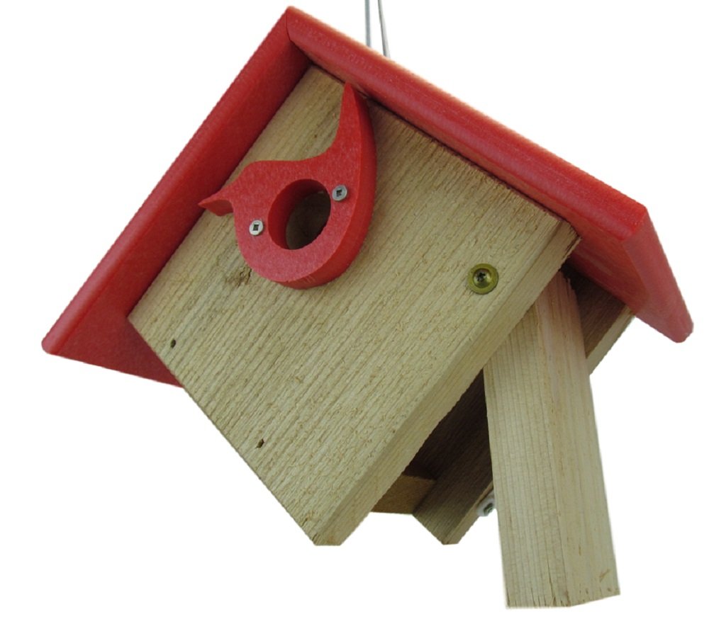 Voliere per uccelli: Per casa e per l'esterno, ornamentali e per l Voliere per uccelli: Per casa e per l'esterno, ornamentali e per l