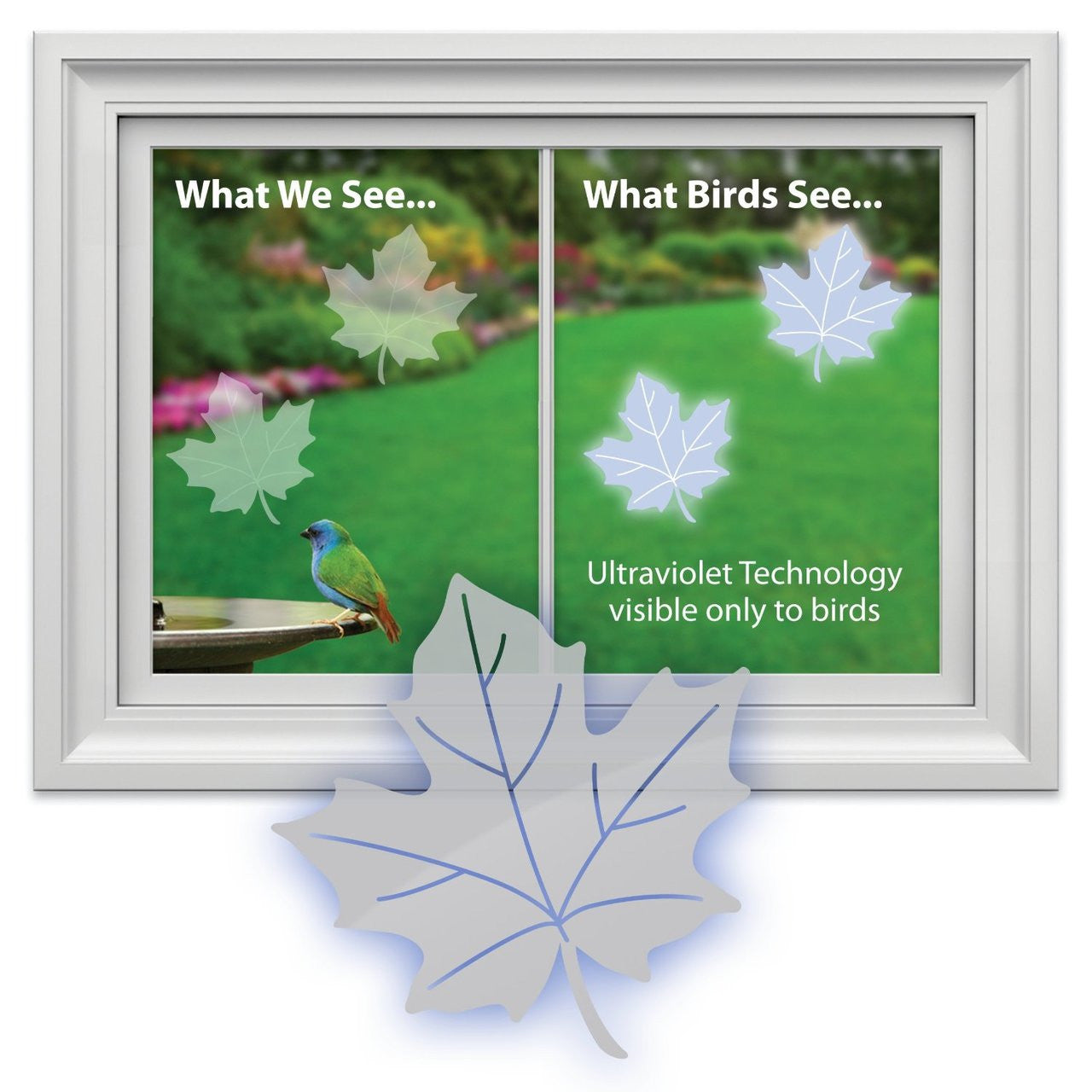 Window Alert 4 Maple Leaf Decals Protect Wild Birds