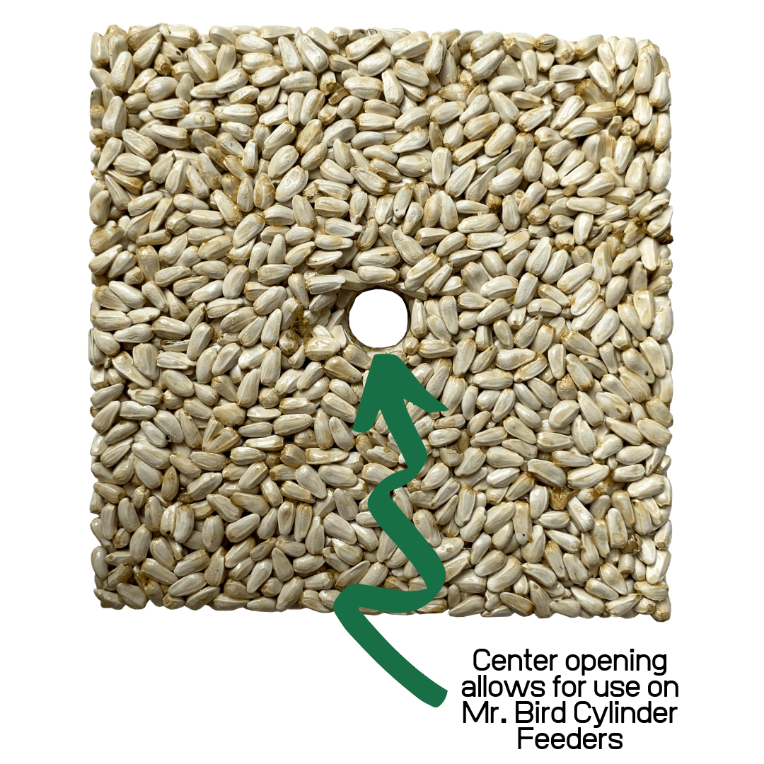 Mr. Bird Safflower Feast Small Wild Bird Seed Cake 8 oz.