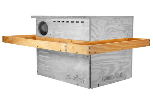 Exercise Platform for Barn Owl Nesting Box - Platform Only