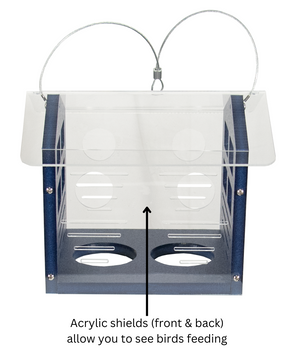 JCS Wildlife Enclosed Bluebird Feeder 2.0