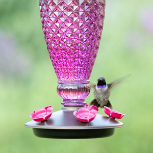 Perky-Pet Diamond Wine Top-Fill Glass Hummingbird Feeder 24 oz
