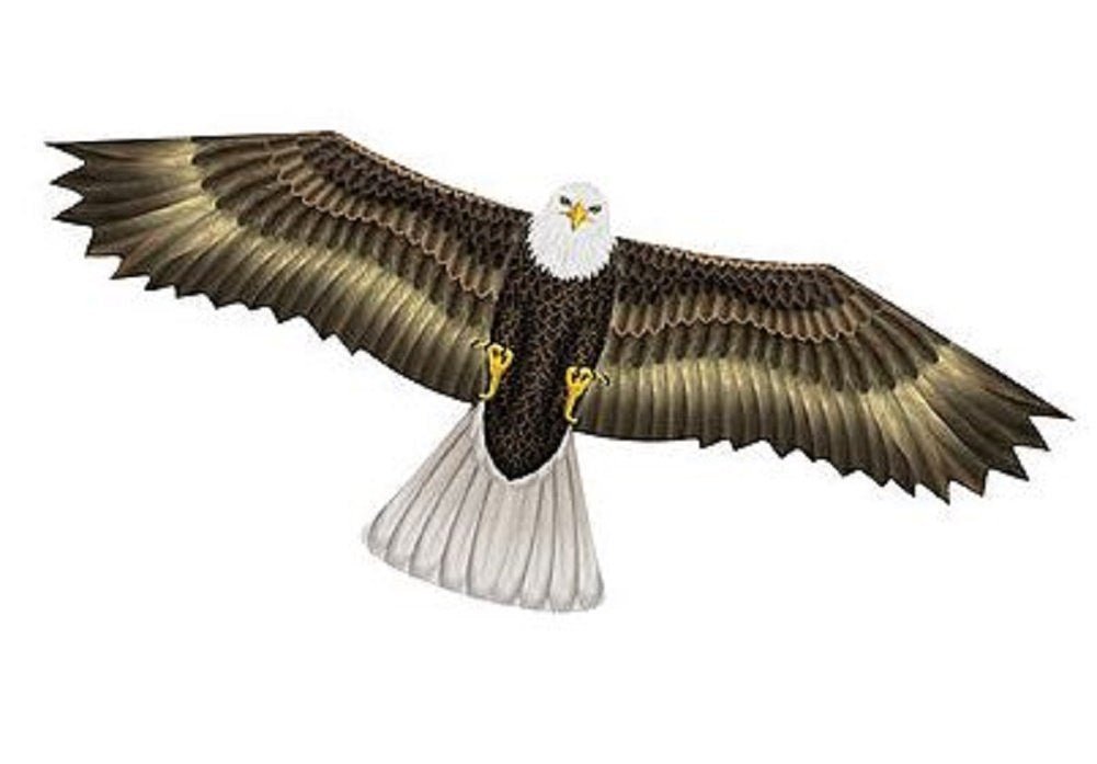 In The Breeze 3D Supersize Eagle Kite