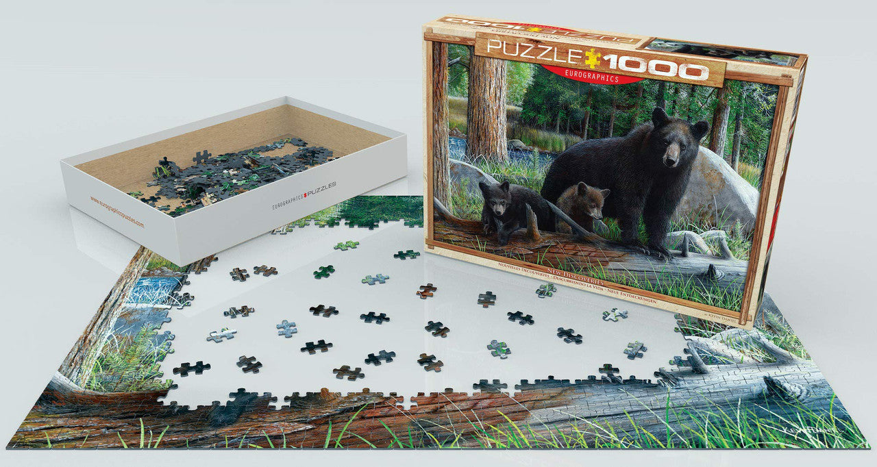 EuroGraphics New Discoveries Jigsaw Puzzle (1000-Piece)