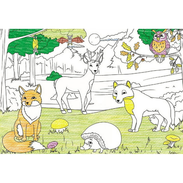 EuroGraphics Forest Color Me Jigsaw Puzzle (100-Piece)