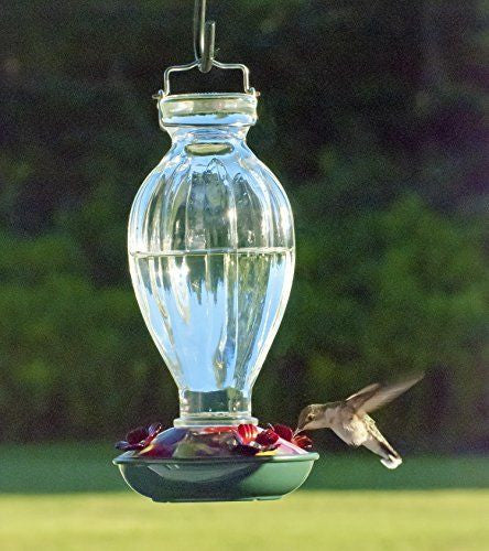 Audubon/Woodlink Fluted Glass Hummingbird Feeder NA35243