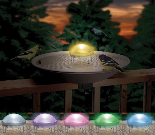 Allied Precision Aurora Water Wiggler Bird Bath Agitator with Color Changing