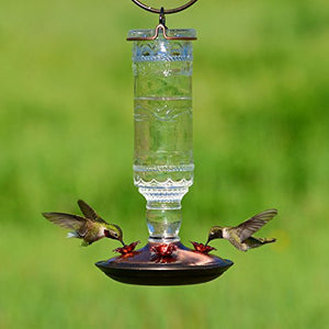 Perky-Pet 8107 Antique Bottle Glass HummingBird Feeder - Clear 10 oz.