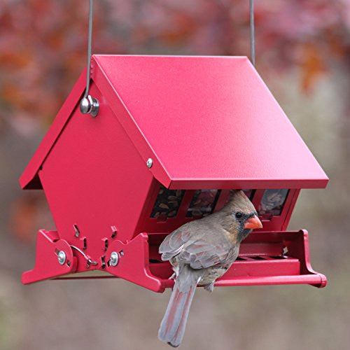 Heritage Farms Mini Absolute II Bird Feeder, Red - 301105