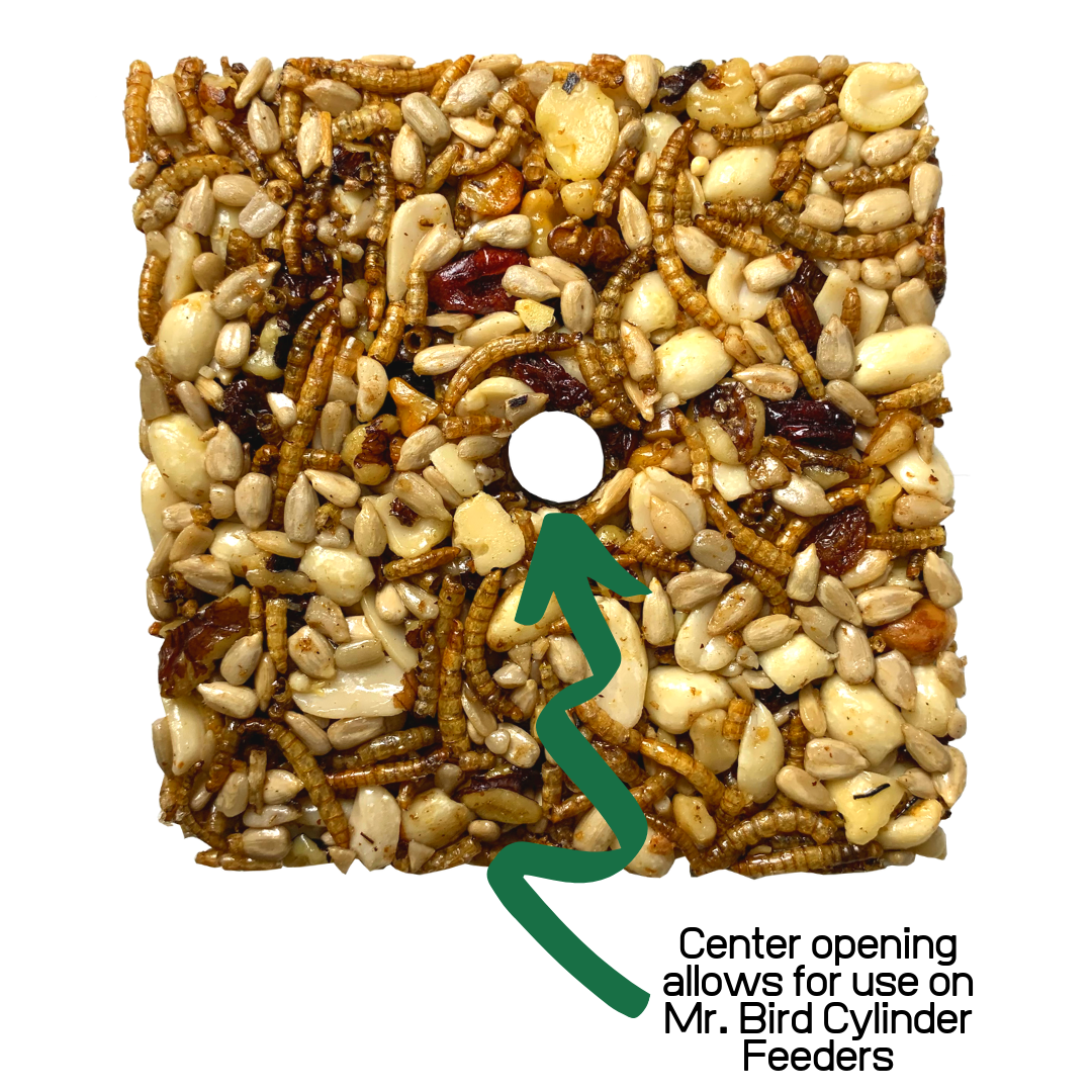 Mr. Bird Bugs, Nuts, & Fruit Small Wild Bird Seed Cake 6 oz. (6 or 12 Packs)