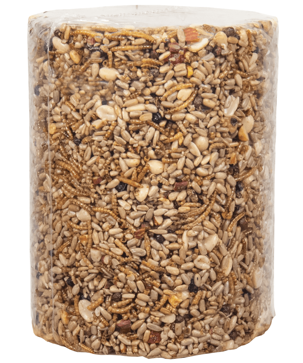 JCS Wildlife Bugs Nuts and Berries Premium Bird Seed Large Cylinder, 3.8 lb