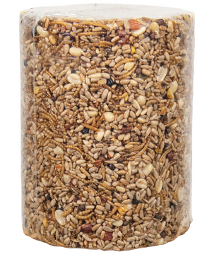 JCS Wildlife Bugs Nuts and Berries Premium Bird Seed Large Cylinder, 3.8 lb