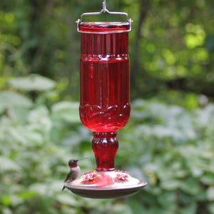 Perky-Pet 8119 Red Antique Glass Bottle Hummingbird Feeder 24 oz (1 or 2 Pack)