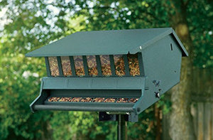 Audubon Original Bird's Choice Squirrel-Resistant Feeder Green Woodlink Delight 7511