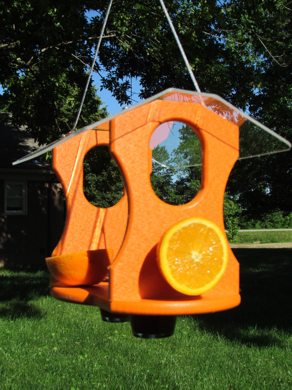 Ultimate Oriole Bird Feeder Fruit and Jelly Buffet, Acrylic and Poly