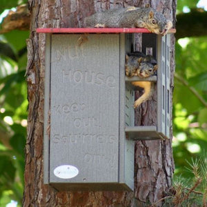 Poly Squirrel House