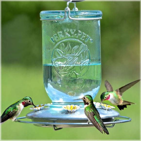 Perky-Pet Mason Jar Glass Hummingbird Feeder 32 oz w/ Metal Base, 785