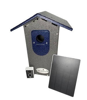 JCS Wildlife Smart Bluebird House - Wi-Fi Camera & Solar Powered Birdhouse, Live Streaming, Bird Nest Monitoring