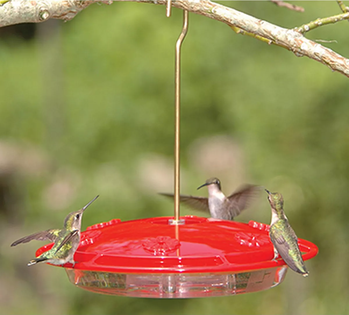 Aspects 143 HummZinger Excel Hanging Hummingbird Feeder with Built in Ant Moat