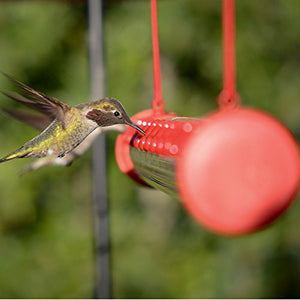 Perky-Pet Hummerbar 22 Ports Revolutionary New Hummingbird Feeding System