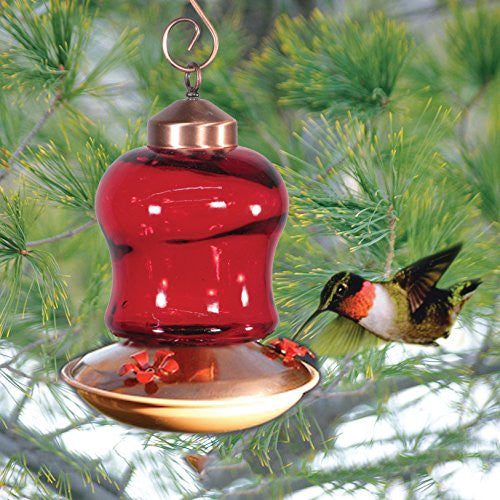 Audubon/Woodlink Ruby Glass HummingBird Feeder NAH6